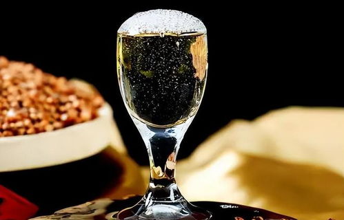 低價淘好酒有門道 避開即飲型，記住三要點，便宜也能喝到好滋味